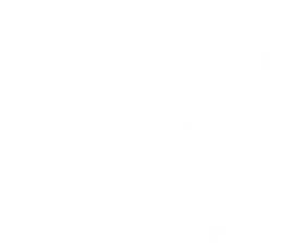 North East River Fly Guiding