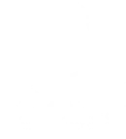 SSASH Care Services